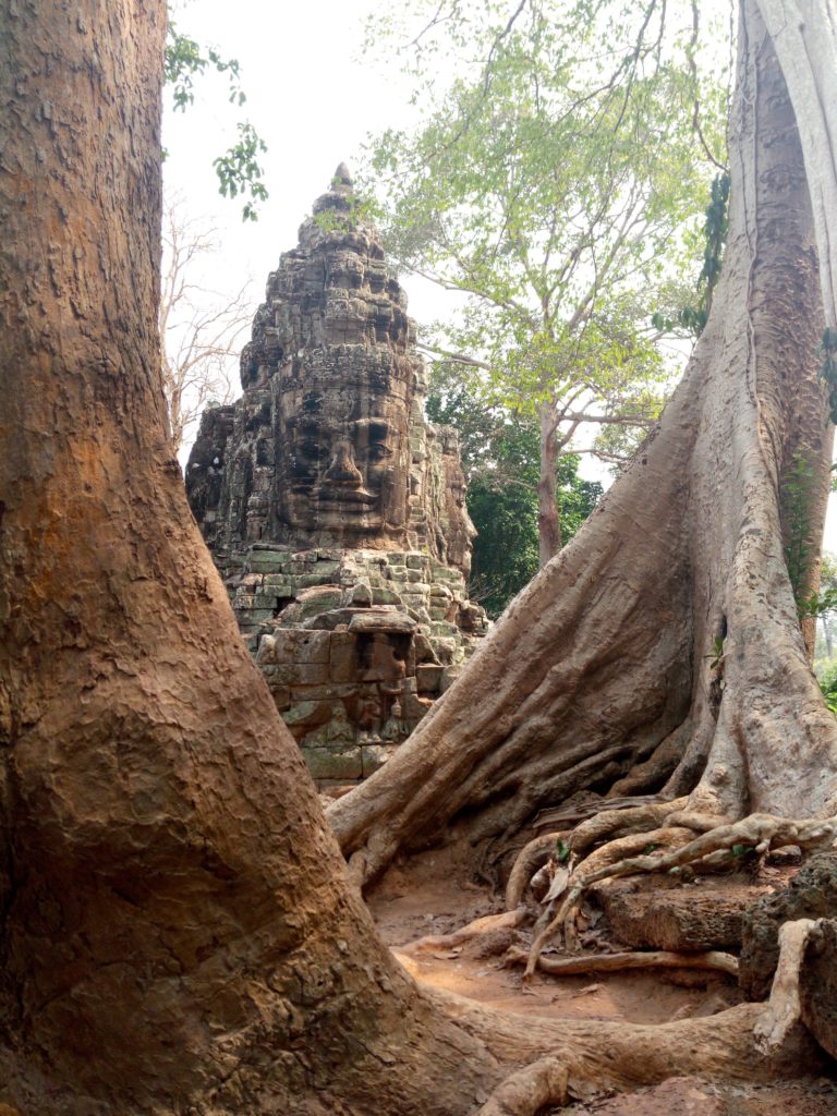 Башня и деревья Ангкор Ват