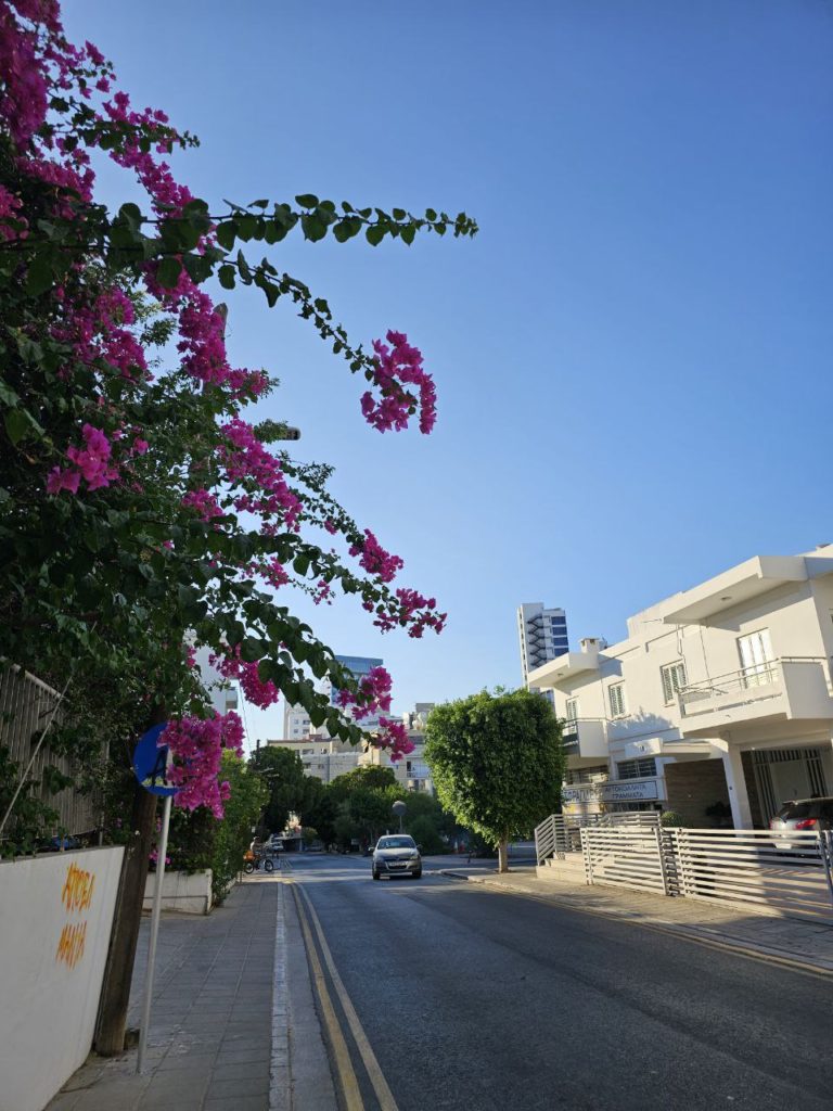 Жизнь на Кипре виды города Никосии